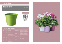 catalogo_erba_2017_mail-p41