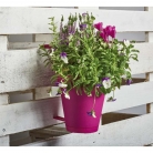 catalogo_erba_2017_mail-p16