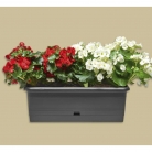 catalogo_erba_2017_mail-p32