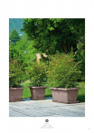 catalogo_lhicum_2018_1-p005