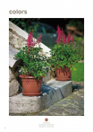 catalogo_lhicum_2018_1-p006