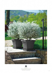 catalogo_lhicum_2018_1-p007