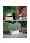 catalogo_lhicum_2018_1-p011
