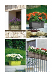 catalogo_lhicum_2018_1-p019