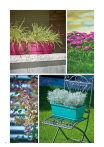 catalogo_lhicum_2018_1-p020