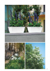 catalogo_lhicum_2018_1-p025