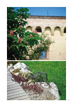 catalogo_lhicum_2018_1-p027