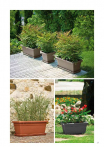 catalogo_lhicum_2018_1-p029