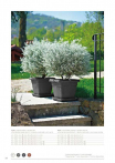 catalogo_lhicum_2018_1-p030