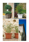 catalogo_lhicum_2018_1-p031