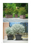 catalogo_lhicum_2018_1-p032