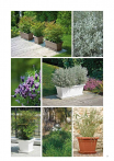catalogo_lhicum_2018_1-p033