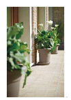 catalogo_lhicum_2018_1-p035