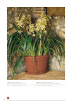 catalogo_lhicum_2018_1-p036