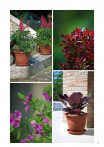 catalogo_lhicum_2018_1-p041