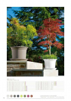 catalogo_lhicum_2018_1-p042