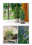 catalogo_lhicum_2018_1-p043