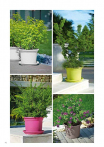 catalogo_lhicum_2018_1-p044