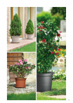 catalogo_lhicum_2018_1-p045