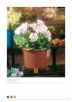 catalogo_lhicum_2018_1-p047