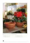 catalogo_lhicum_2018_1-p049