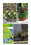 catalogo_lhicum_2018_1-p051