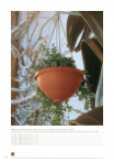 catalogo_lhicum_2018_1-p052