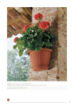 catalogo_lhicum_2018_1-p055