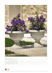 catalogo_lhicum_2018_1-p056