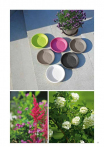 catalogo_lhicum_2018_1-p059