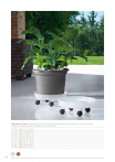 catalogo_lhicum_2018_1-p062