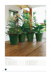 catalogo_lhicum_2018_1-p066