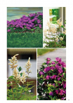 catalogo_lhicum_2018_1-p067
