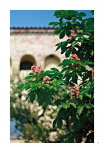 catalogo_lhicum_2018_1-p069
