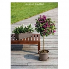 catalogo_lhicum_2018_1-p001