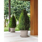 catalogo_lhicum_2018_1-p004