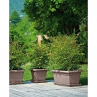 catalogo_lhicum_2018_1-p005