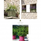 catalogo_lhicum_2018_1-p008