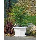 catalogo_lhicum_2018_1-p010