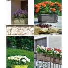 catalogo_lhicum_2018_1-p019