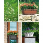 catalogo_lhicum_2018_1-p021