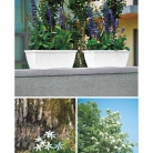 catalogo_lhicum_2018_1-p025