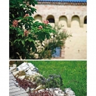 catalogo_lhicum_2018_1-p027