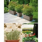 catalogo_lhicum_2018_1-p029