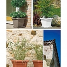 catalogo_lhicum_2018_1-p031