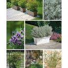 catalogo_lhicum_2018_1-p033