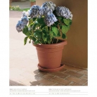 catalogo_lhicum_2018_1-p034