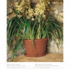 catalogo_lhicum_2018_1-p036