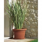 catalogo_lhicum_2018_1-p037