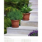 catalogo_lhicum_2018_1-p040